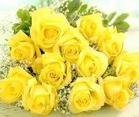 12-Yellow Roses Bunch