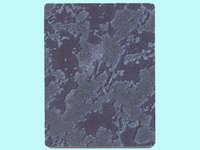 Real Plus-Metallic Plywood