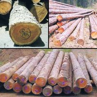 Wood Logs