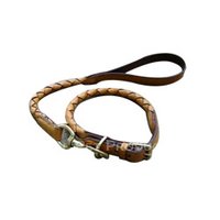 Appealing Dog Collar