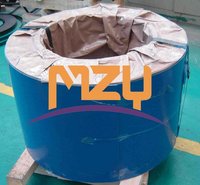 AISI304 Cold Rolled Stainless Steel Strip