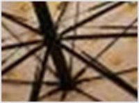 Umbrella Rib Wires