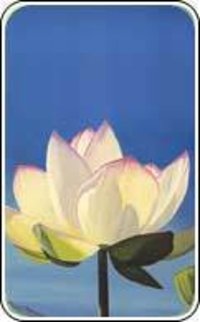 White Lotus Absolute Fragrance
