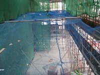 Safety Nets
