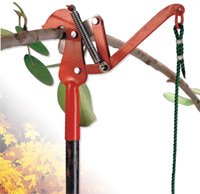 Tree Pruner