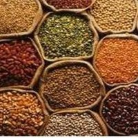 Pulses