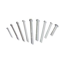 Stainless Steel Bolts