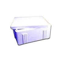 Thermocol Moulding Box