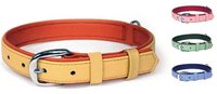 Leather Pet Collars