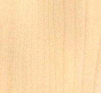 American Maple Veneers