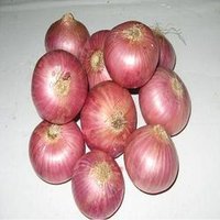 Red Onions