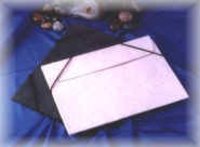 Business Folder