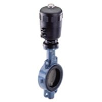 Butterfly Valve