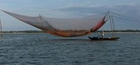 Commercial Fish Nets