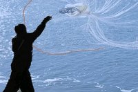 Fish Nets