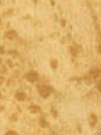 Dotted Brown Color Laminates