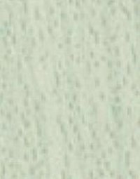 Textured Green Color Laminates