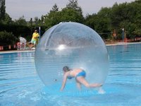 Water Walking Ball
