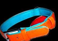 Sleek Dog Collars