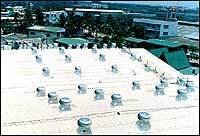 Industrial Ventilators