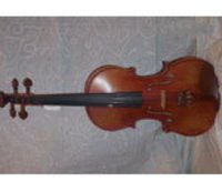 Violin