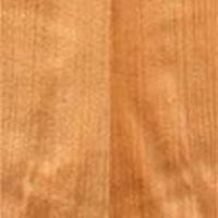 Steam Beech Timber