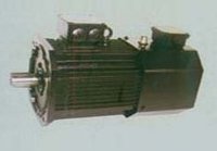 MVF Series Three Phase Frequency Conversion Variable Speed Motors