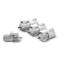 Standard Asynchronous Motors