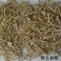 Eleutherococcus Roots
