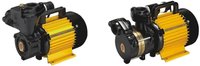 Domestic Selfpriming Pump