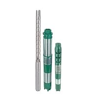 V6 Borewell Pumps