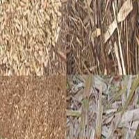 Agricultural Raw Material