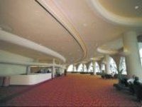 Ceilings And Walls Spray On Acoustical Finishing At Best Price In