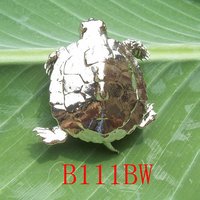 Bio-Jewelry Brooch Sacred Turtle
