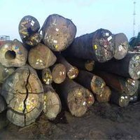 Meranti Logs