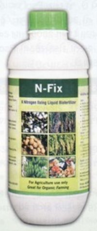 Nitrongen Fixer