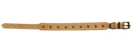 Embroidered Dog Collars