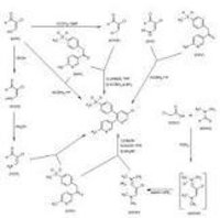 Ammonium Acetatee