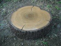 Fiberglass Stepping Stone