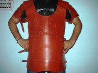 Harness Muscle Armor