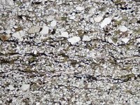 Finest Mica Grains