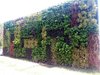 Live Vertical Garden