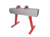 Athlete Use Pommel Horse