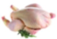 Frozen Halal Chicken