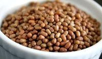 Turkish Gram (Moth Bean)