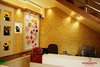 Natural Yellow Stone Wall Cladding