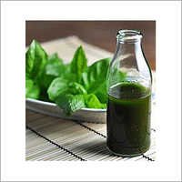 Basil Essential Oil