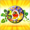 Memory Enhancer Plus