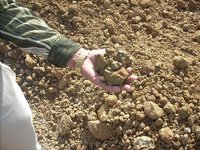 Bentonite