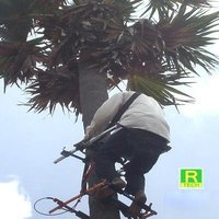 Coconut / Palm Tree Climbing Device